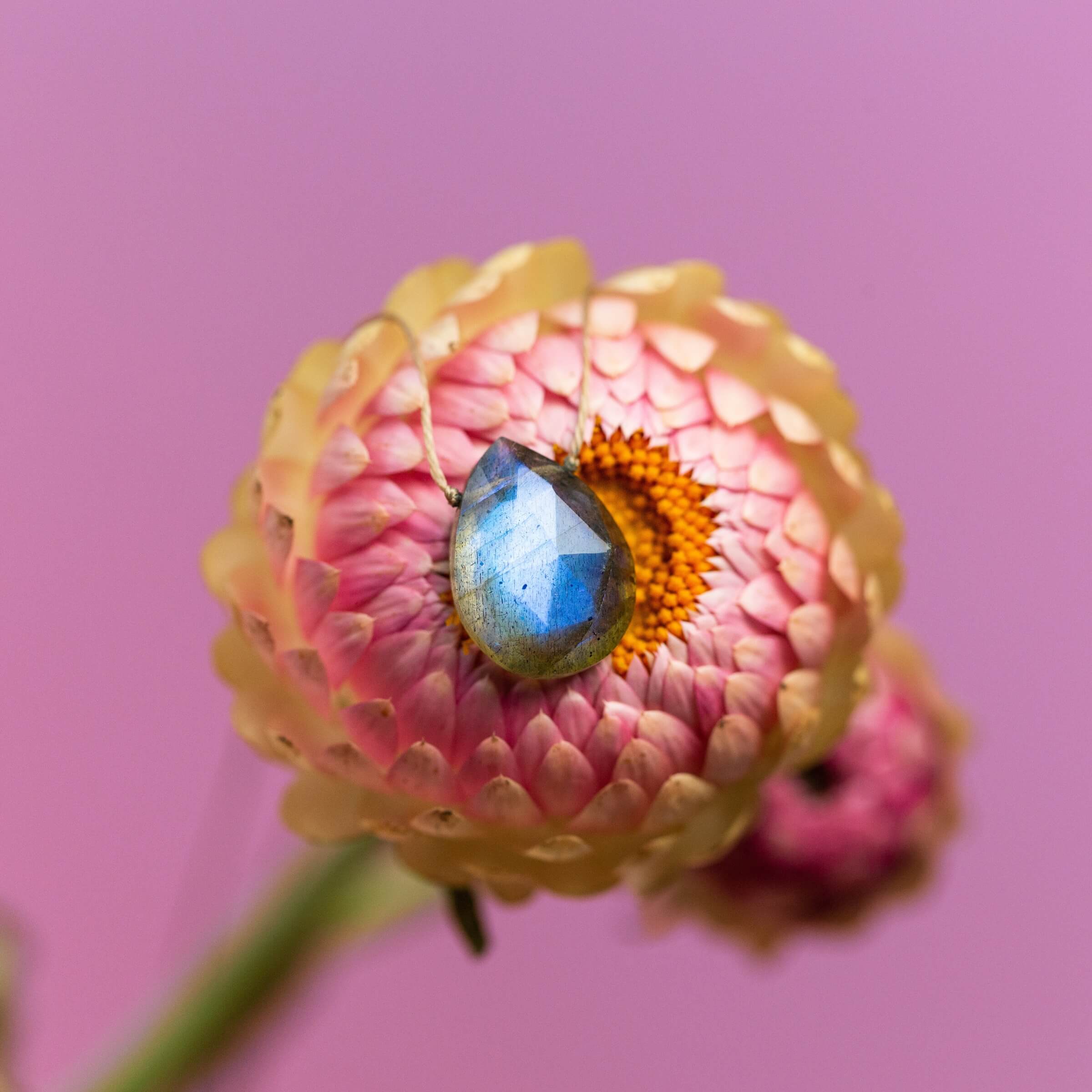 Labradorite Luxe Necklace — Transformation