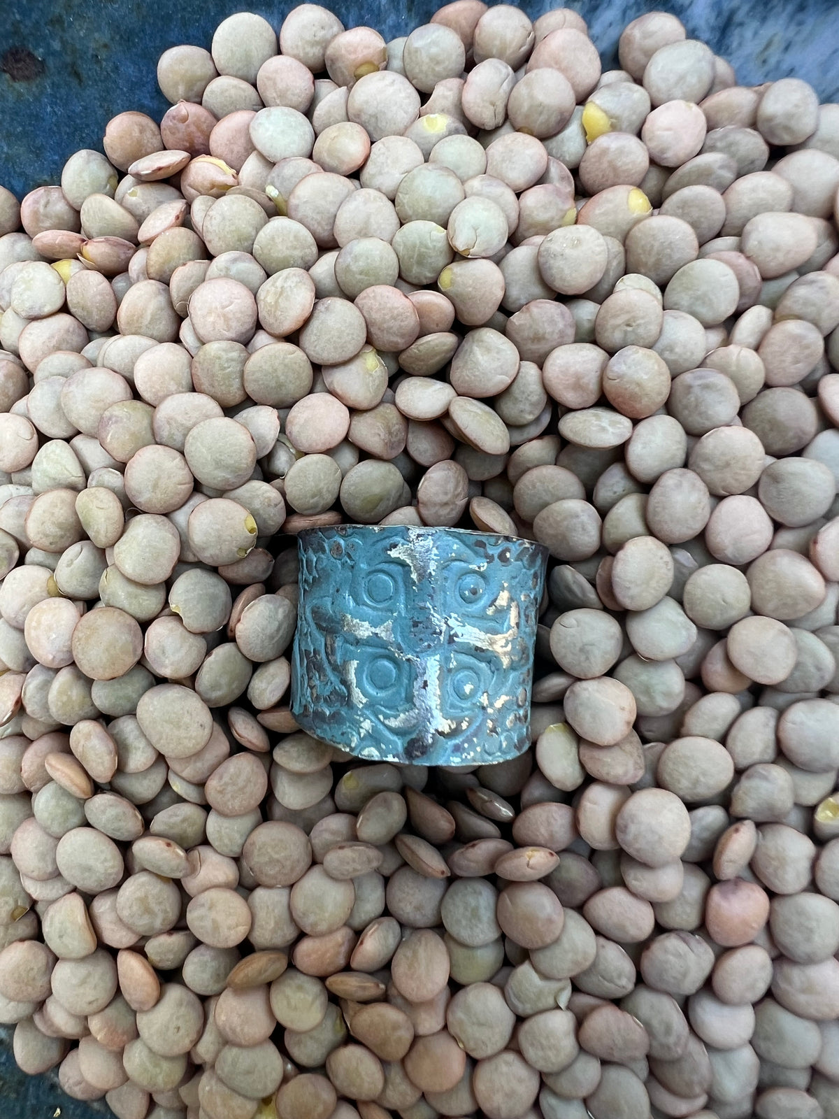 Hand-Hammered Non-Tarnish Silver Ring – Adjustable Talisman Band – Wild Marigold