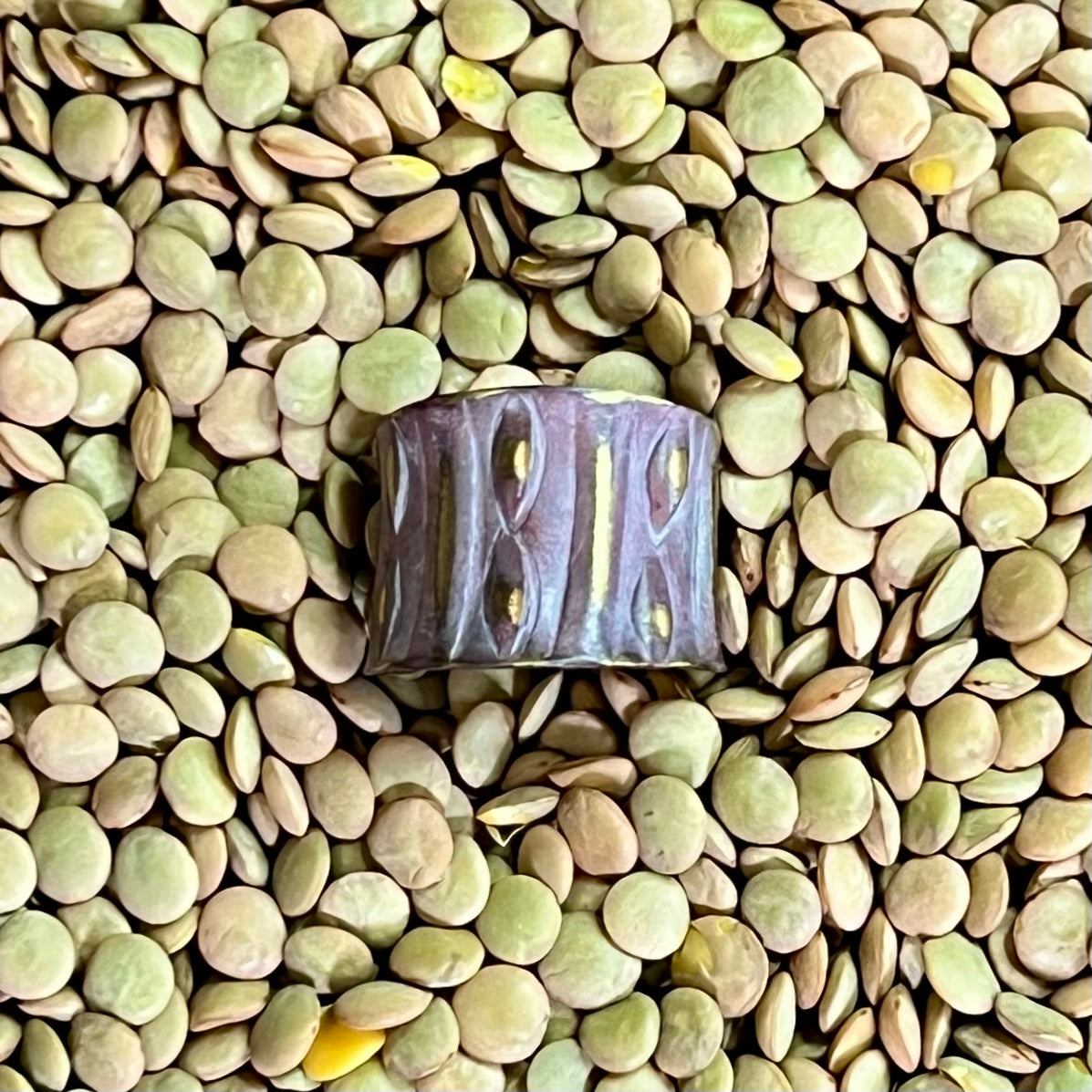 Hand-Hammered Brass Patina Ring – Adjustable Talisman Band – Wild Marigold