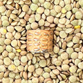 Hand-Hammered Non-Tarnish Silver Ring – Adjustable Talisman Band – Wild Marigold
