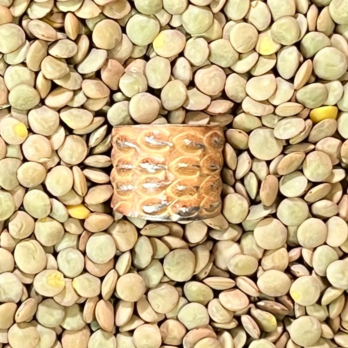 Hand-Hammered Non-Tarnish Silver Ring – Adjustable Talisman Band – Wild Marigold