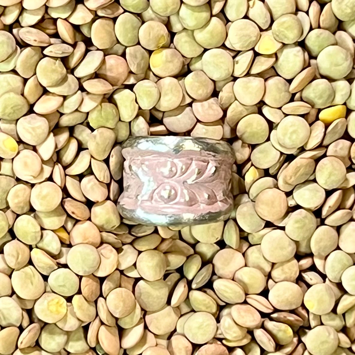 Hand-Hammered Non-Tarnish Silver Ring – Adjustable Talisman Band – Wild Marigold