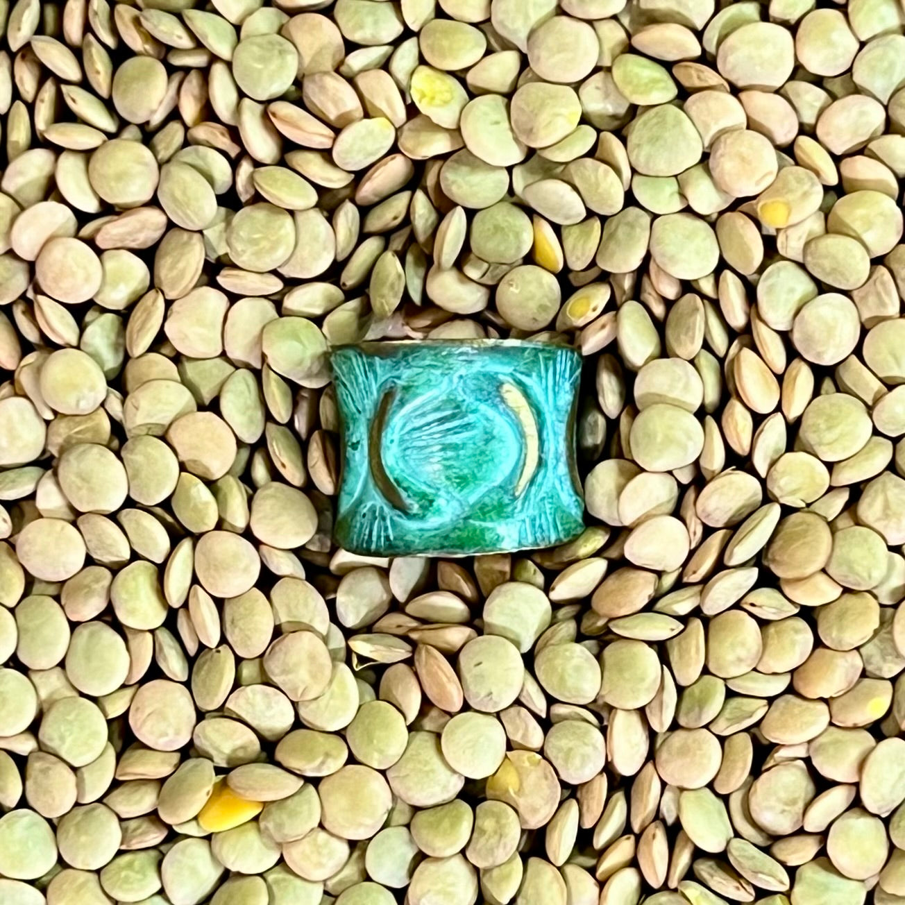 Hand-Hammered Brass Patina Ring – Adjustable Talisman Band – Wild Marigold